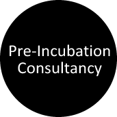 Pre-Incubation Consultancy